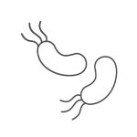 ProDetect H-Pylori